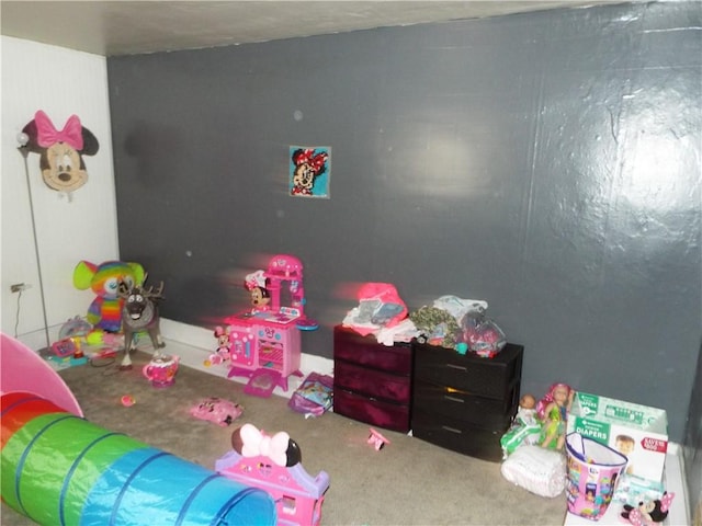 409 1st St, East Bethlehem, PA 15368 - recreation room with carpet flooring