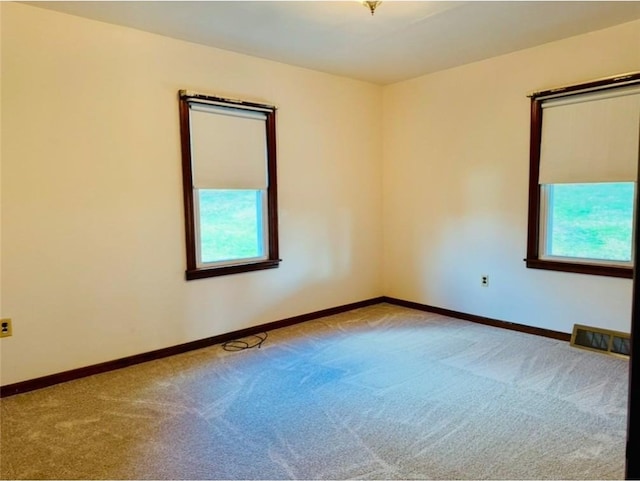 empty room featuring carpet floors and a wealth of natural light