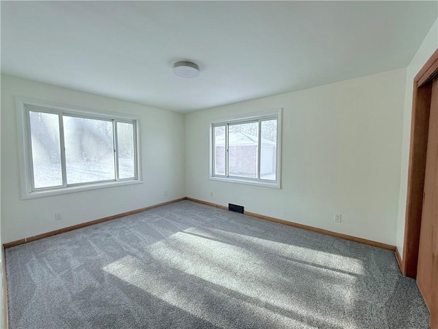 spare room with carpet and a wealth of natural light