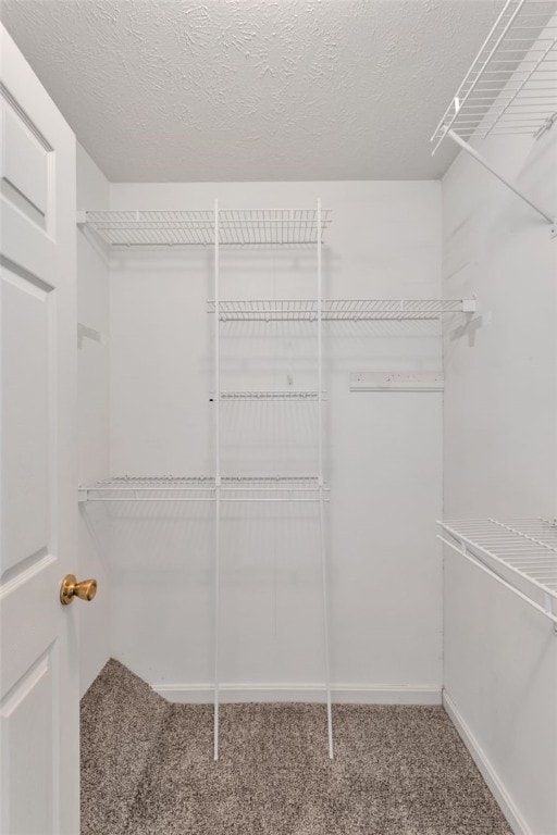 spacious closet with carpet floors