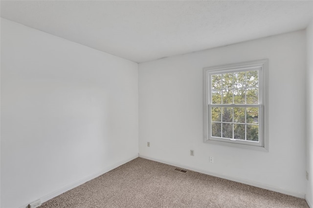 spare room featuring carpet