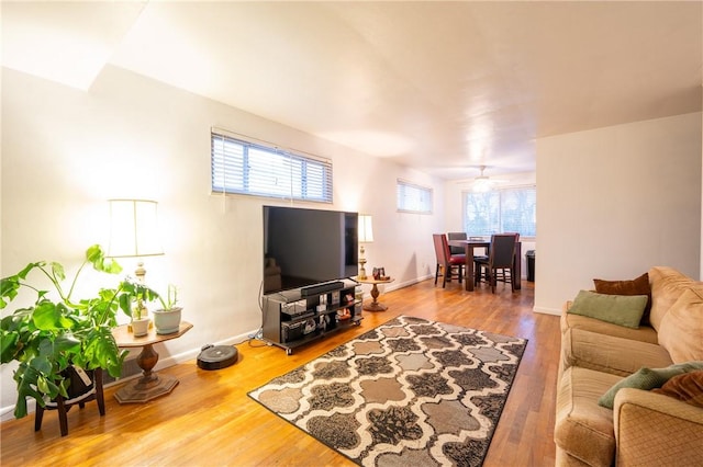 living room featuring ceiling fan, hardwood / wood-style floors, and a healthy amount of sunlight