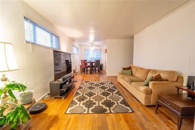 living room with hardwood / wood-style flooring and ceiling fan