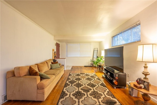 living room with wood-type flooring