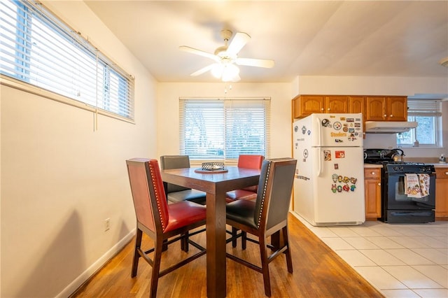 dining room with light hardwood / wood-style floors and ceiling fan