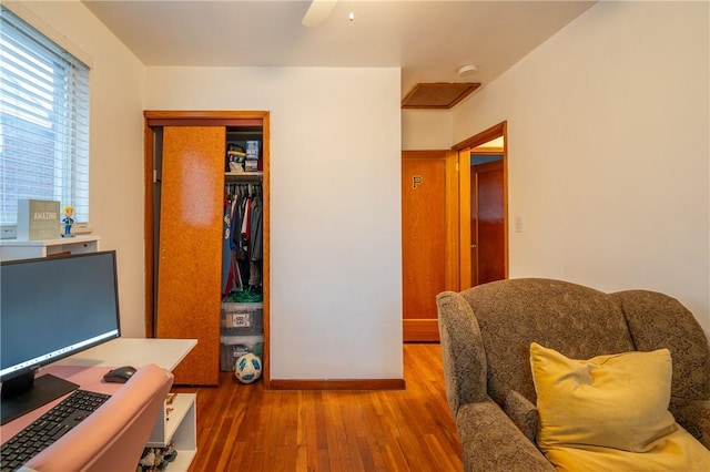 office area featuring hardwood / wood-style floors