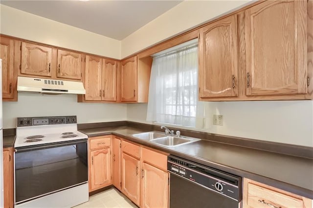 kitchen with dishwasher, white range with electric stovetop, and sink