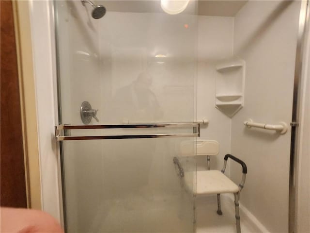 bathroom featuring a shower with door