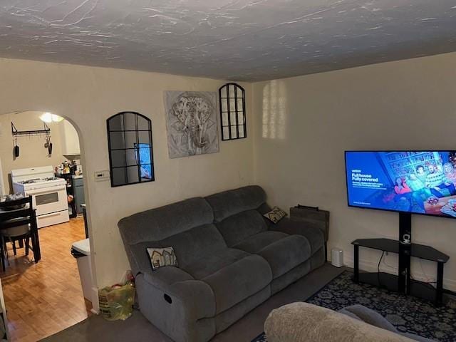 living room featuring hardwood / wood-style flooring