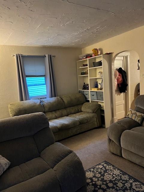 living room with carpet floors