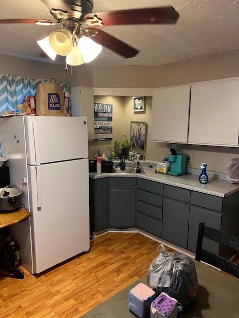 kitchen featuring sink, light hardwood / wood-style flooring, white fridge, white cabinets, and gray cabinets