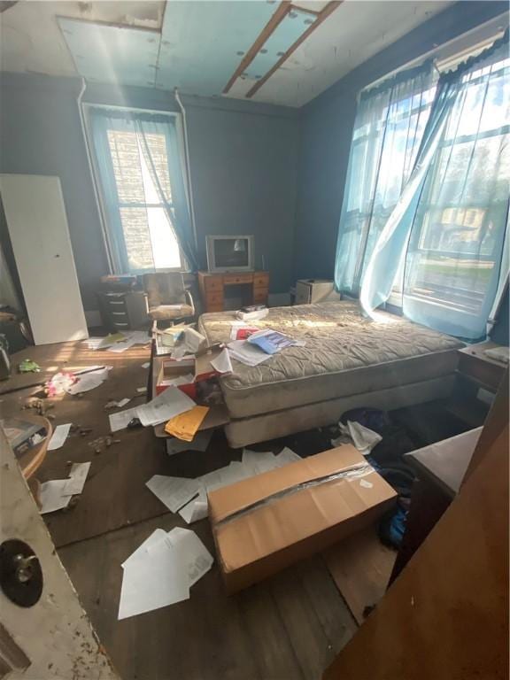 miscellaneous room featuring wood-type flooring