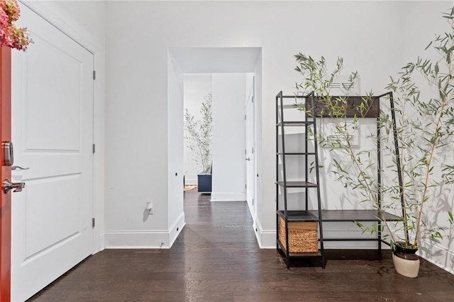 corridor with dark hardwood / wood-style floors