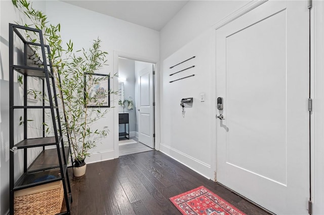 foyer entrance featuring dark hardwood / wood-style flooring