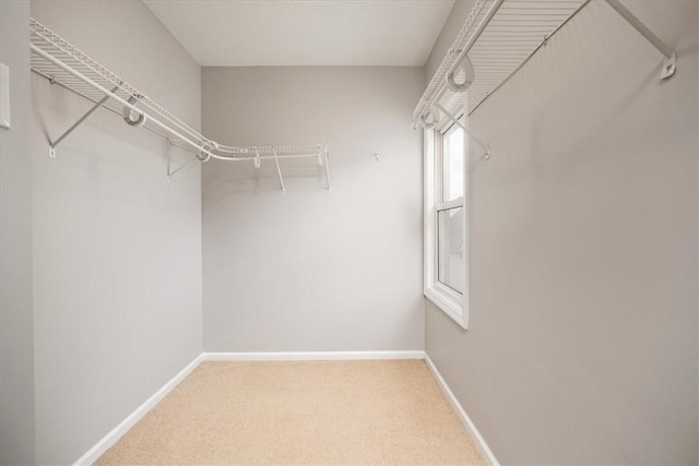 spacious closet with carpet flooring