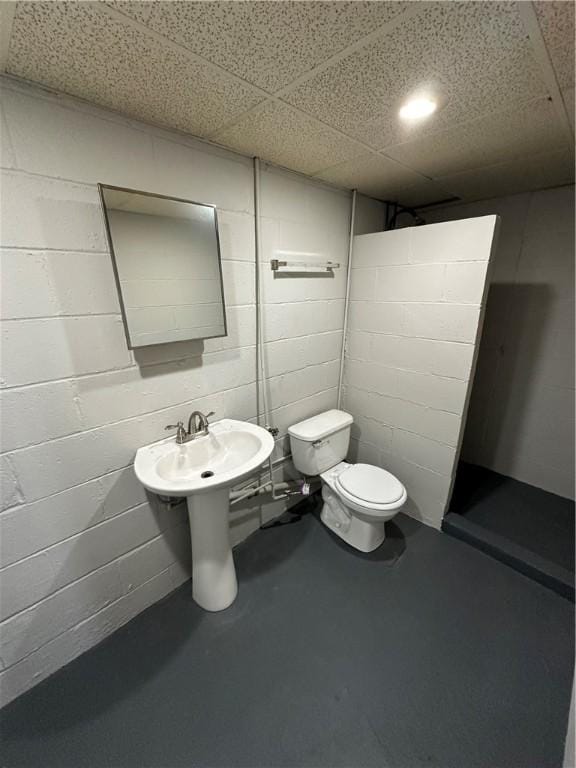 bathroom with toilet, concrete flooring, and a drop ceiling