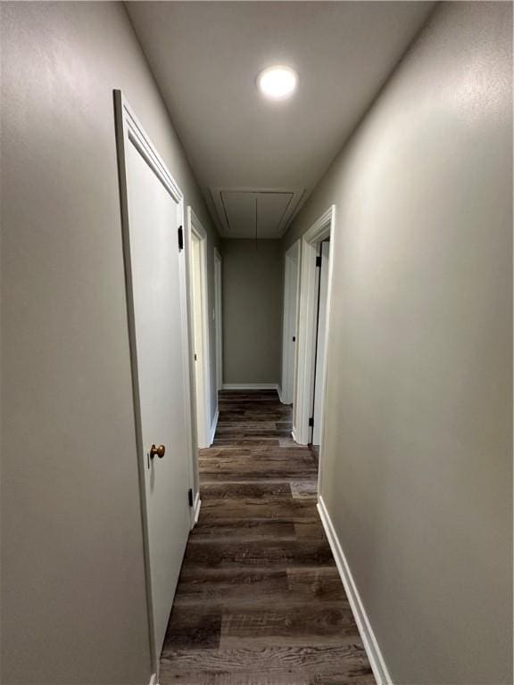 corridor with dark hardwood / wood-style flooring