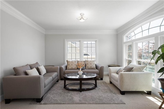 living room featuring carpet and ornamental molding