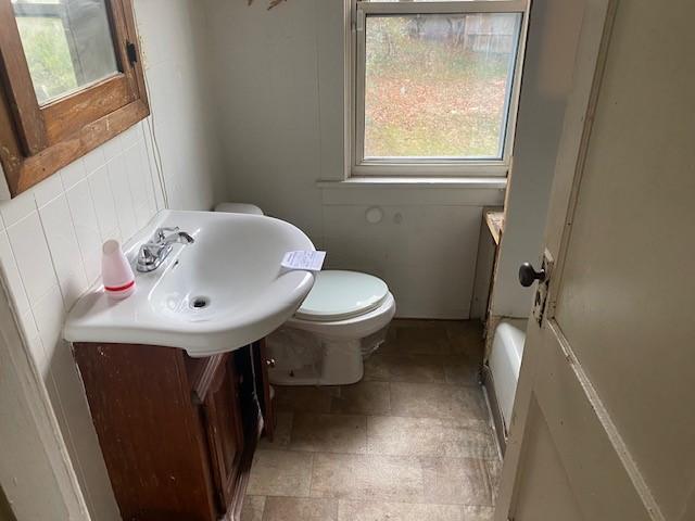 bathroom with vanity and toilet