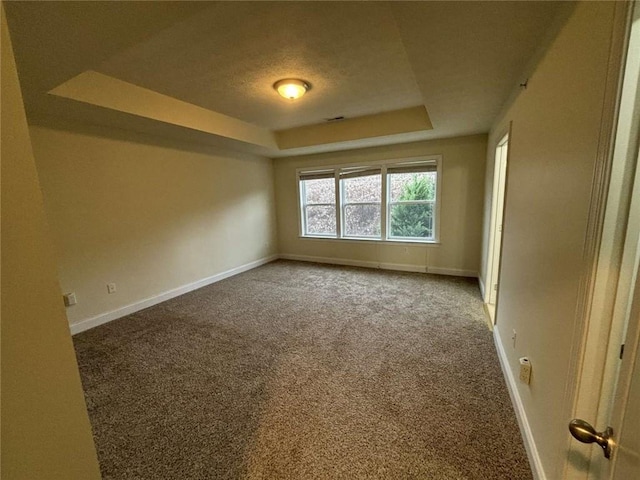 spare room with a raised ceiling and carpet flooring