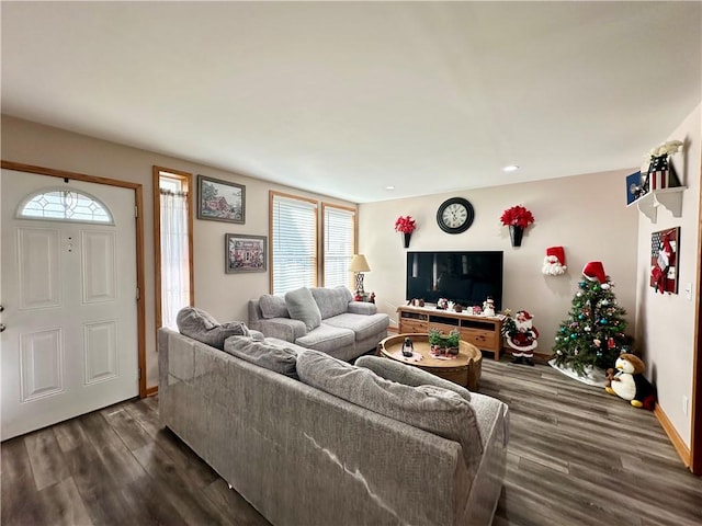 living room featuring plenty of natural light and dark hardwood / wood-style floors