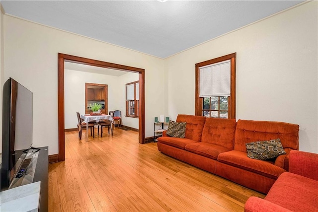 living room featuring light hardwood / wood-style floors