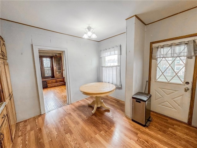 entrance foyer featuring light hardwood / wood-style floors and a wealth of natural light