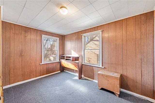 interior space featuring carpet flooring and wood walls