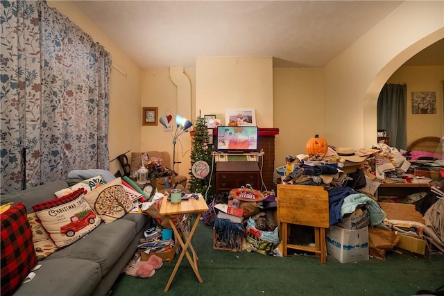 miscellaneous room with carpet