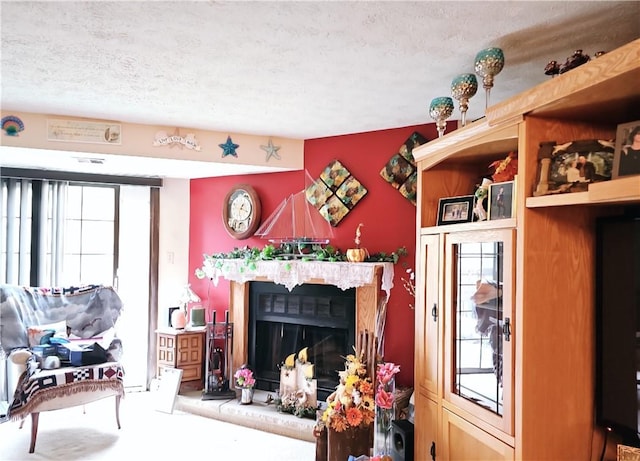 living room featuring a textured ceiling