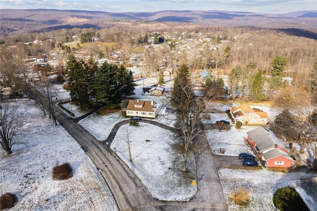 drone / aerial view featuring a mountain view