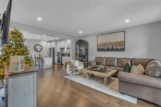 living room featuring dark hardwood / wood-style floors and sink