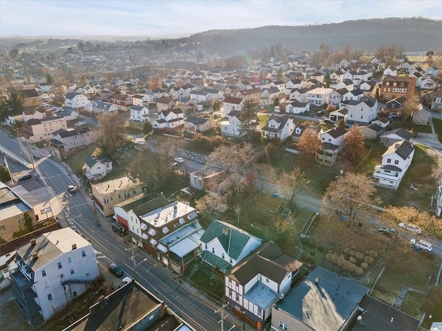 bird's eye view