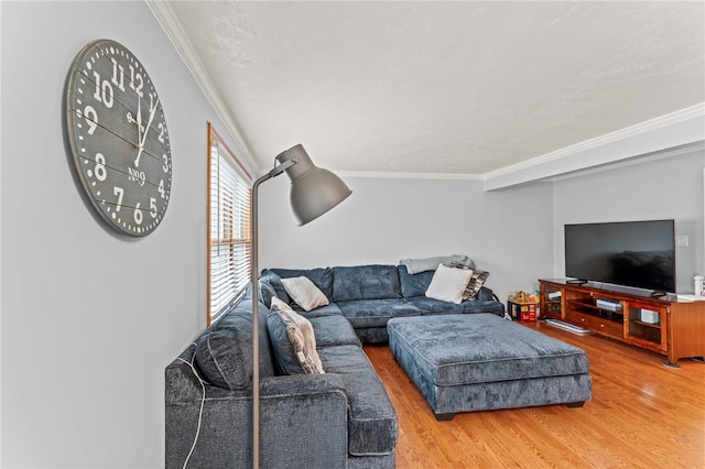 living room featuring ornamental molding and hardwood / wood-style floors