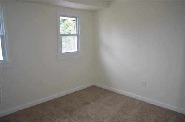 unfurnished room featuring carpet