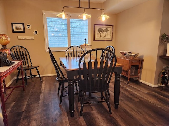 dining room featuring dark wood-type flooring