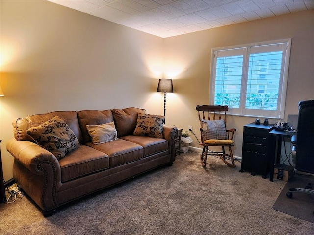 living room featuring carpet flooring