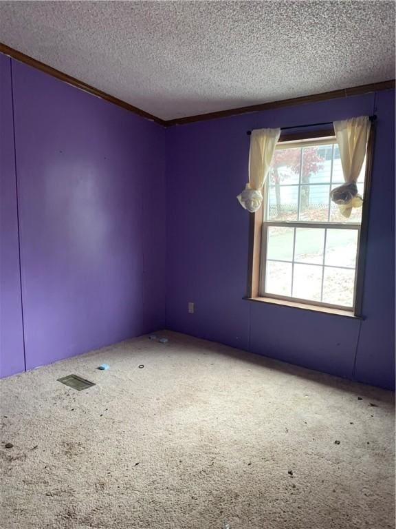 empty room featuring carpet, crown molding, and a textured ceiling