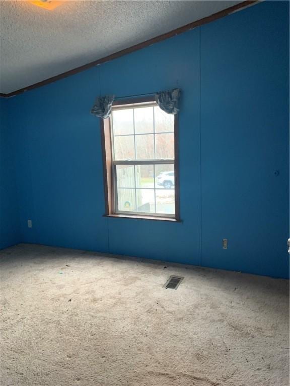 carpeted spare room with lofted ceiling and a textured ceiling