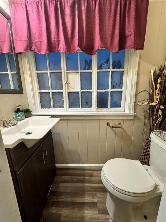 bathroom featuring vanity, hardwood / wood-style flooring, and toilet