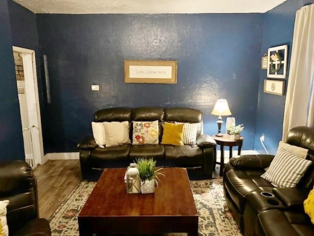 living room featuring hardwood / wood-style flooring