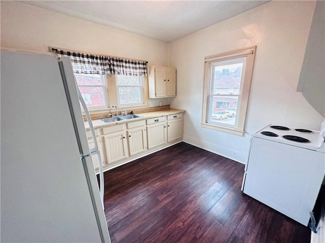 kitchen with plenty of natural light, dark wood-type flooring, white appliances, and sink