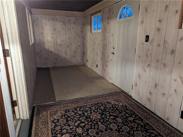 interior space with wooden walls and carpet floors