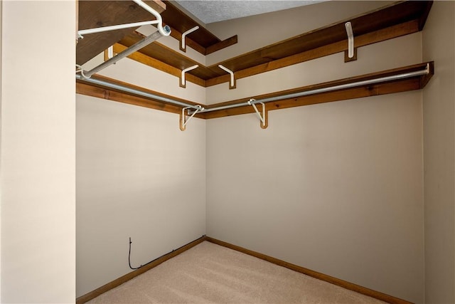 walk in closet featuring light carpet