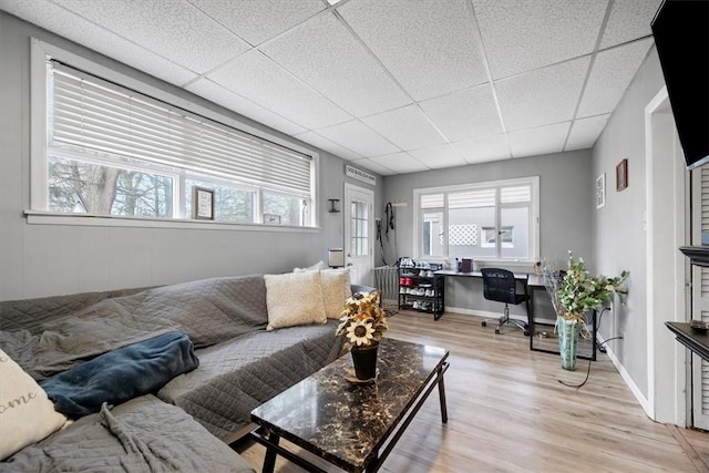 living room featuring plenty of natural light, a drop ceiling, and light hardwood / wood-style flooring