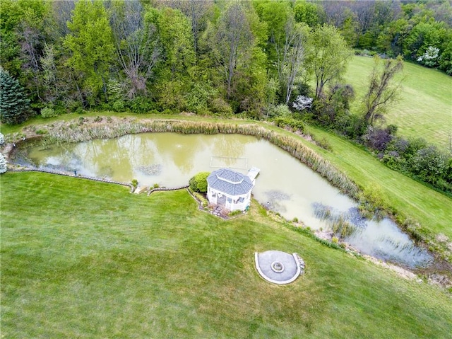 bird's eye view featuring a water view