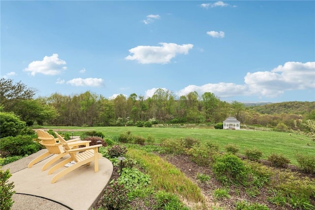 view of yard featuring a patio and a wooded view