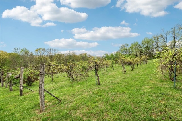 view of landscape with a rural view