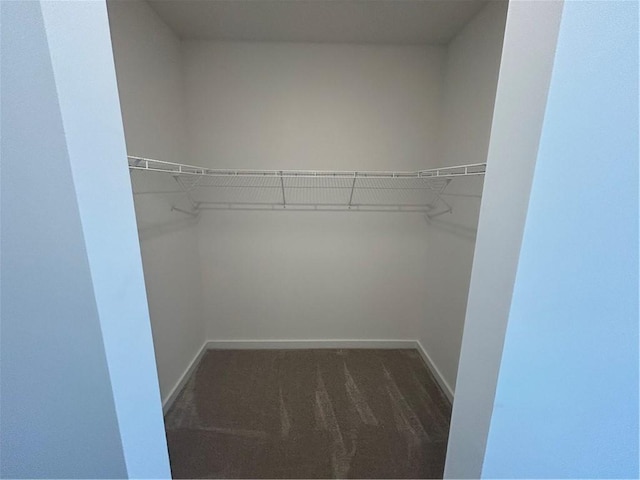 walk in closet featuring dark carpet