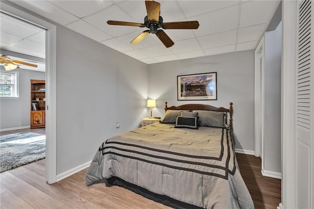 bedroom featuring a closet, ceiling fan, a drop ceiling, and hardwood / wood-style flooring